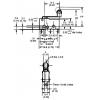 5098 微動開關 小型短輪 3A 125/250VAC