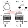 R13-508AL05-R 按住ON放開OFF 復歸無段A接點3VdcLED旋入面板式按鍵開關 紅