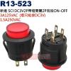 R13-523 新進SCI DC3V2P...