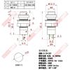 5155E 按鍵開關 有段式 125V/1A 開孔10mm