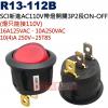 R13-112B SCI新進AC110V...