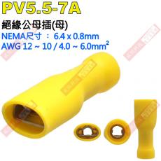 PV5.5-7A 絕緣公母插端子(母插)NEMA尺寸 6.4x0.8mm
