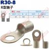 R30-8 R型端子 螺絲孔8.4mm ...